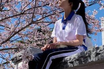 吃瓜频道，再次登录，我已然是个“资深八卦者”，心情沉甸甸。